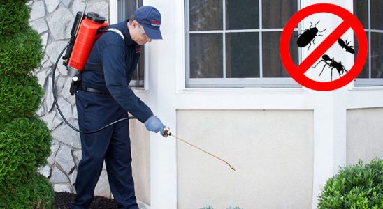 Muratpaşa Dezenfeksiyon böcek ilaçlama ve haşere kontrolü — ilaclama-tr.com